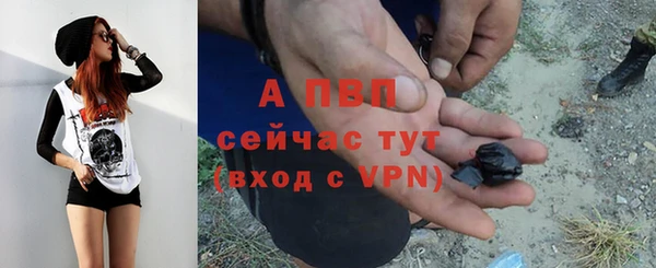 дживик Аркадак