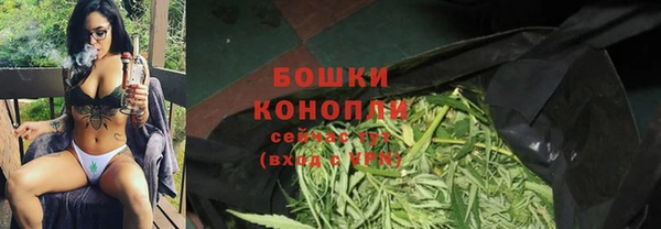 дживик Аркадак